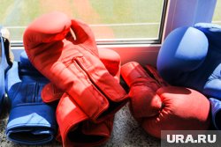 В соревнованиях приняли участие около 250 юных спортсменов из Кургана и области