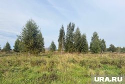 В Заозерном продают землю по самой высокой цене под строительство ЖК