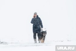 Метель и снегопад ухудшают видимость