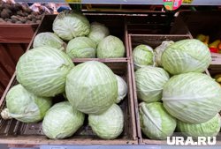 Овощи заблокировали на въезде из-за противоречий в документации