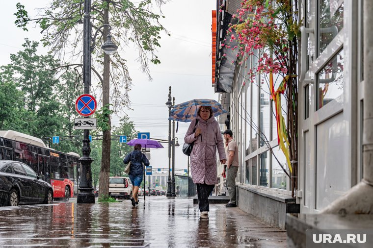 В Перми может пройти дождь