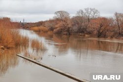 Появилось видео с последствиями размыва дамбы в Карелии