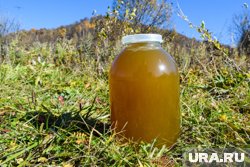 Пермякам придется платить больше за натуральный мед
