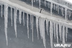 В Кургане ожидается положительная температура