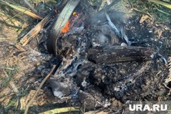 В сбитом самолете находились 65 пленных солдат ВСУ (архивное фото)