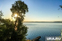Во дворе жилого комплекса будет сосновый бор, а в 10 минутах ходьбы - озеро Тургояк