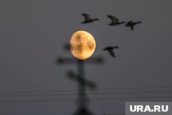 Что можно отметить 7 октября 2025 года