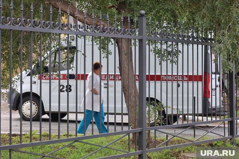 На Камчатке дети отравились в школьной столовой и попали в больницу