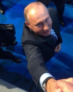 Судя по соцсетям, Рожков жал руку президенту