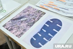 Предполагаемый след ребенка