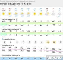 В Шадринске в начале недели будет туманно