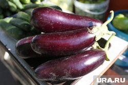 Результаты экспертизы могут послужить поводом к предъявлению претензий поставщикам
