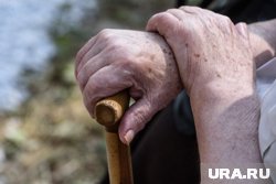 Пенсионеры передавали девушке все свои сбережения, поверив мошенникам