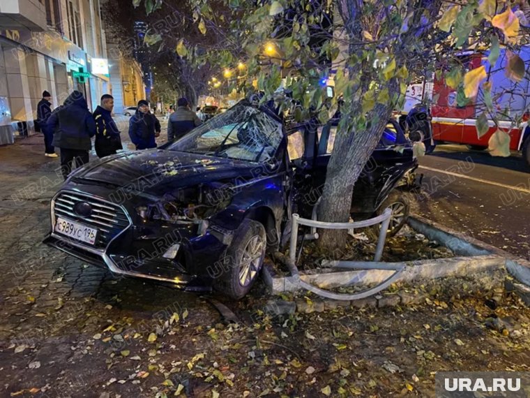 Hyundai отбросило в дерево