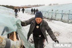 Мигрантов изгоняют из сельского хозяйства ЯНАО 