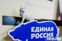 В челябинском отделении ЕР подвели итоги выдвижения на праймериз