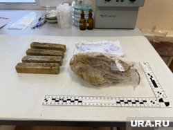 На Дальнем Востоке пресекли контрабанду партии золотых слитков