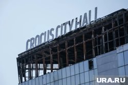 Фигуранты дела о теракте в «Крокусе» происходят из бедных семей, заявили источники