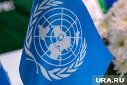 Миссия ООН в Ливии: “Необходимо немедленно остановить насилие в Триполи”