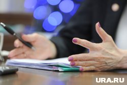 Блогер Инстасамка не участвует в разработке законов РФ
