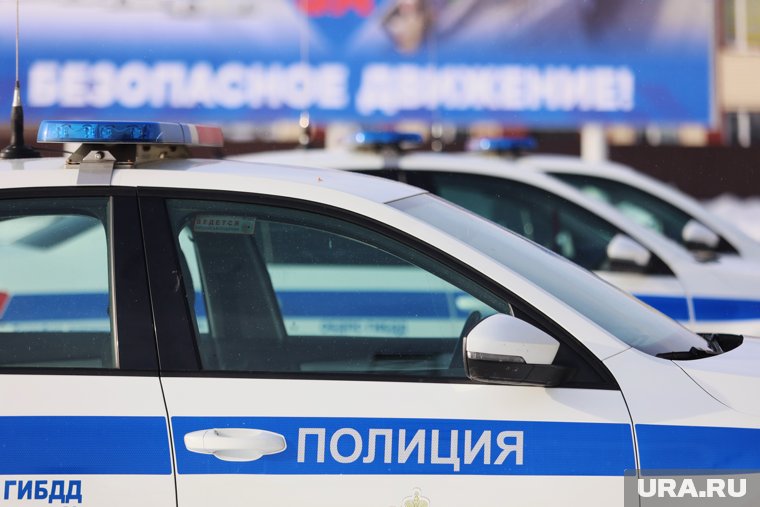 Полицейские устанавливают все обстоятельства произошедшего