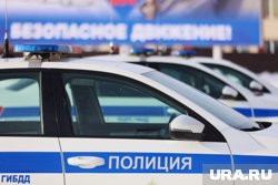 Полицейские устанавливают все обстоятельства произошедшего