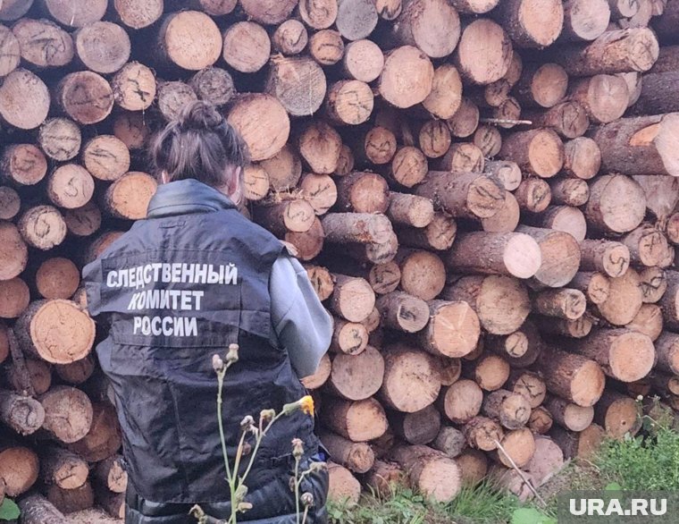 Следователи возбудили д ело по факту смертельного травмирования малолетних 