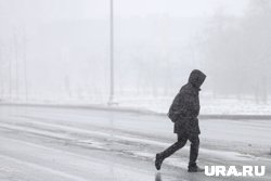 В Подмосковье за сутки выпало 24 миллиметра осадков
