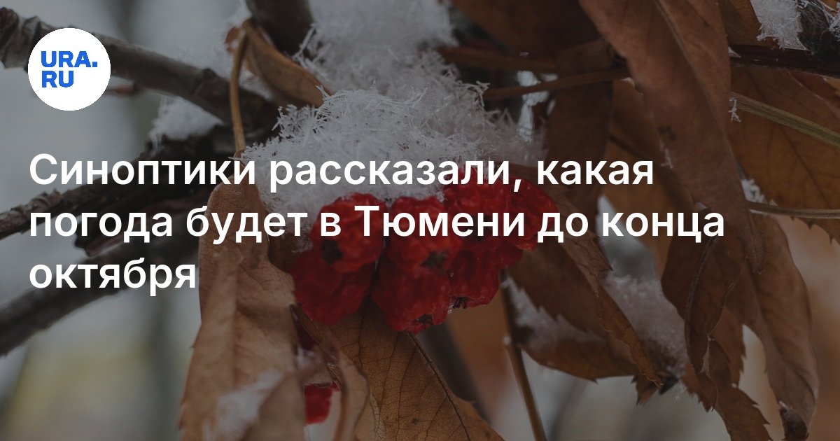 Погода в тюмени на сентябрь 2022. Погода. Какая погода будет в сентябре в тюмени. Погода в тюмени на 10. Температура в сентябре.