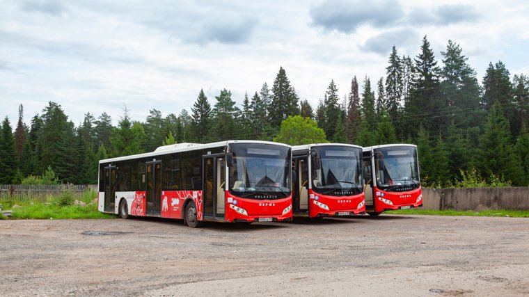 Пермские автобусы заметили в Очере