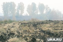 В период коллективизации на ХТЗ пахали землю