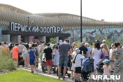 Пермский зоопарк открыл свои двери 7 августа