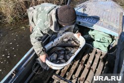 Тюменское Заболотье обеспечивают пищей, водой и необходимыми медикаментами