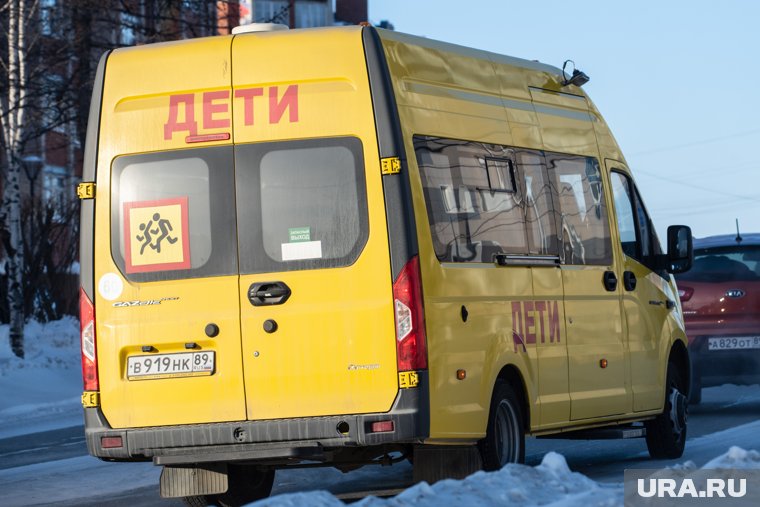 Школьные автобусы стали важной частью комфортной образовательной среды, благодаря им дети могут доехать домой вовремя и выспаться