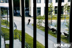 Дом, где находиться квартира, имеет огороженную территорию