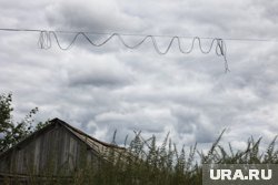 Женщину пугали низко висящие провода над ее садовым участком (архивное фото)