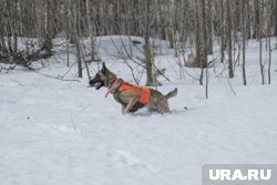 В феврале сообщалось о более чем двух тысячах пропавших без вести россиян