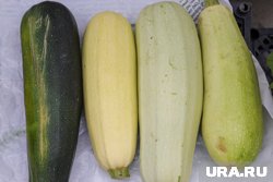 Лучше фотографировать урожай с рулеткой, чтобы был понятен масштаб