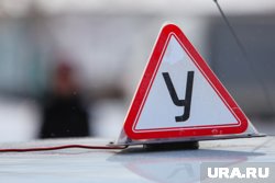 Россияне смогут посмотреть подробную информацию о выбранной автошколе на едином ресурсе