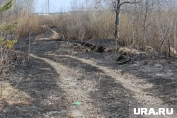 По словам местных, существующая грунтовая дорога не приспособлена для проезда