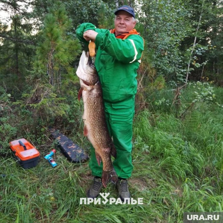 Щука весит около 12 кг