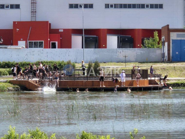 В Заозерном районе Кургана дети купаются в опасном водоеме