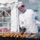 Каким шашлыком начать сезон пикников в 2025 году