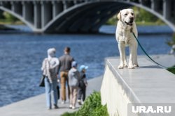 Жара придет в Челябинскую область 28 мая 