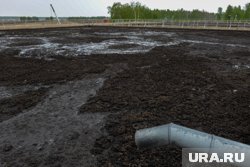 Навоз сливался за пределы отведенных на это территорий (архивное фото)