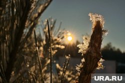 В Кургане погода осенью и зимой будет в пределах нормы, но в феврале станет теплее обычного 