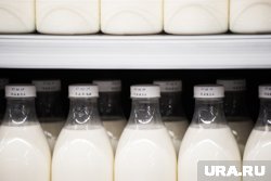 Продукты, содержащие молочные белки, могут подавлять рост раковых опухолей