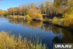 Машину занесло в ограждение, после чего она упала в реку (архивное фото)