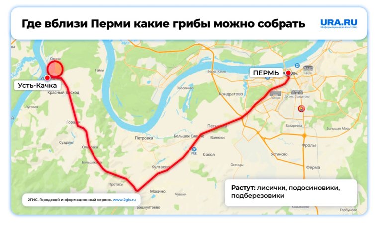 Грибы можно найти и в районе Усть-Качки