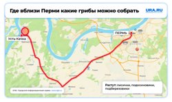 Грибы можно найти и в районе Усть-Качки